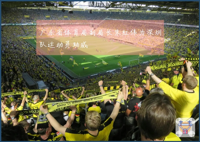 广东省体育局副局长朱红伟为深圳队运动员助威 الدعم